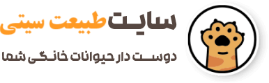 فروشگاه طبیعت سیتی
