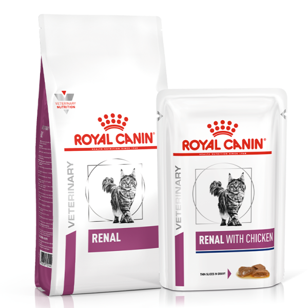 بسته غذای خشک و تر گربه رنال رویال کنین Royal Canin Renal وزن 2 کیلو گرم و 85 گرم