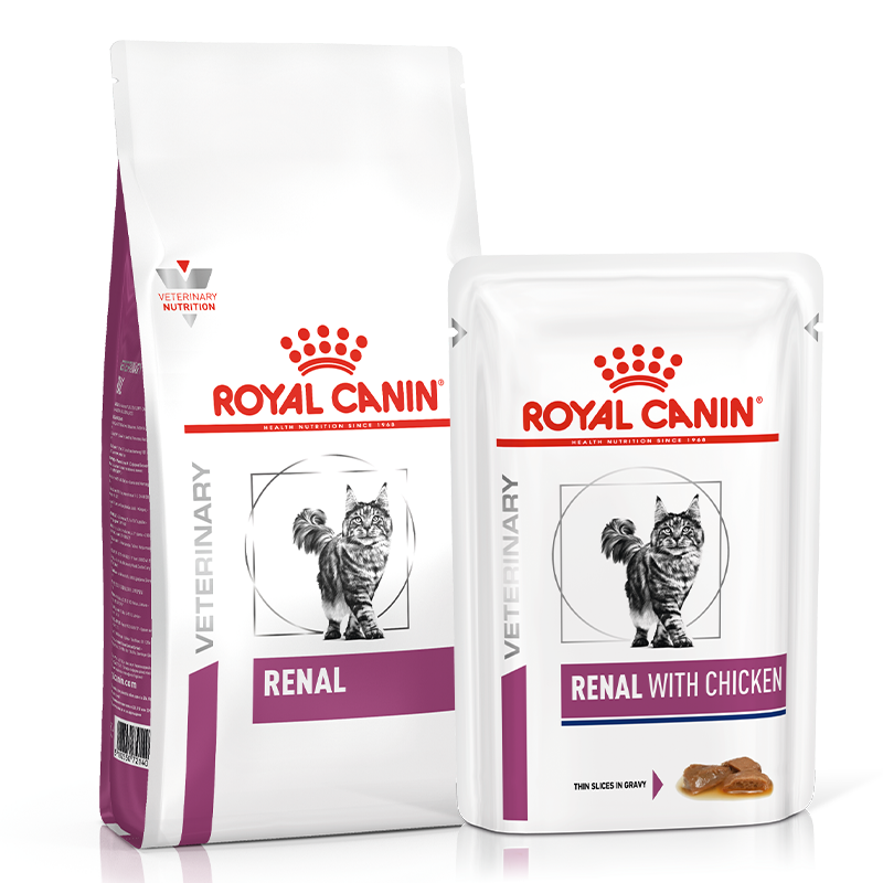 بسته غذای خشک و تر گربه رنال رویال کنین Royal Canin Renal وزن 2 کیلو گرم و 85 گرم