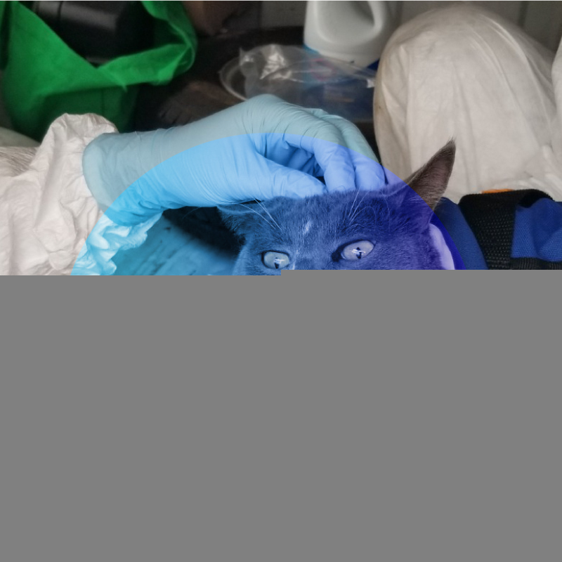 آزمایشات تخصصی