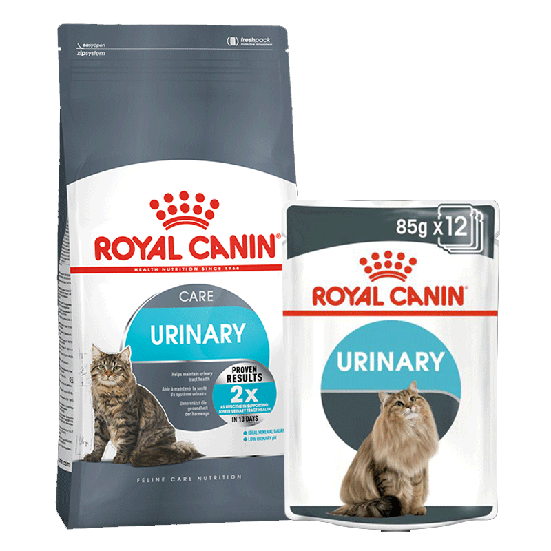 بسته غذای خشک و تر گربه مراقبت از دستگاه ادراری رویال کنین Royal Canin Urinary Care وزن 2 کیلو گرم و 85 گرم